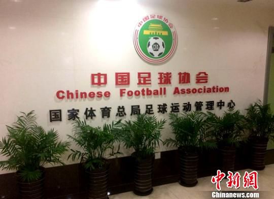 2019香港马会资料大全，传承与创新并进的年度回顾