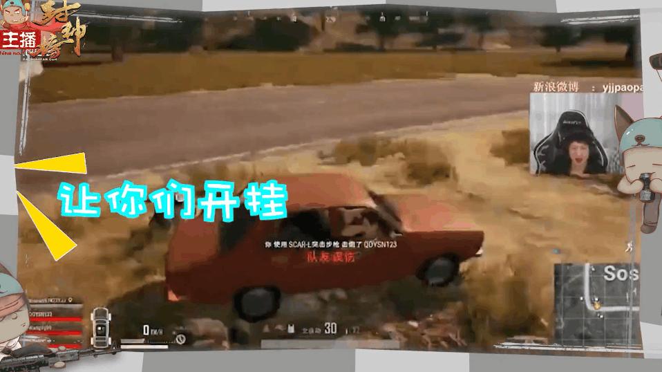 探索小狼狗心水论坛，一个独特的宠物爱好者社区小狼狗贴吧