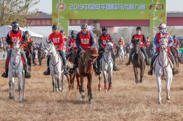 2019年马会全年资料回顾，精彩瞬间与辉煌成就二0一九年马会全年资料1