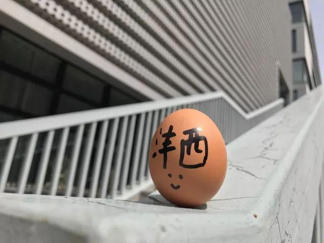 探秘香港开奖直播，一场融合现实与小说的奇妙之旅开奖直播现场香港一开奖结果查询