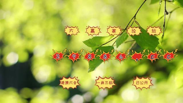 探索六合图的奥秘，传统智慧与现代启示的交汇6合图库下载官方网站