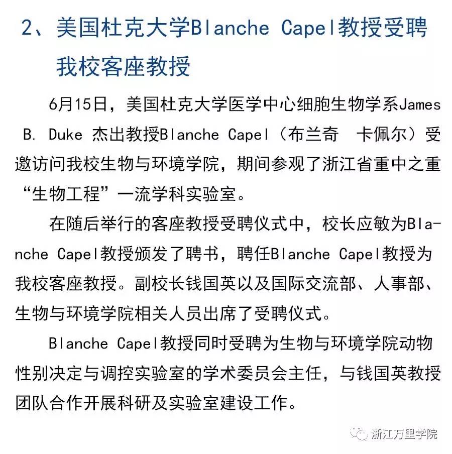 澳门论坛8419，20年变迁与最新资讯概览（基于虚构内容）841995澳门论坛网