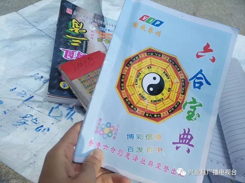 探索六合论坛，网络社区的多元魅力与深度交流6合宝典