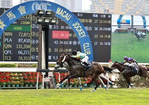 澳门马会传真，历史、文化与现代科技的完美融合马会传真澳门云