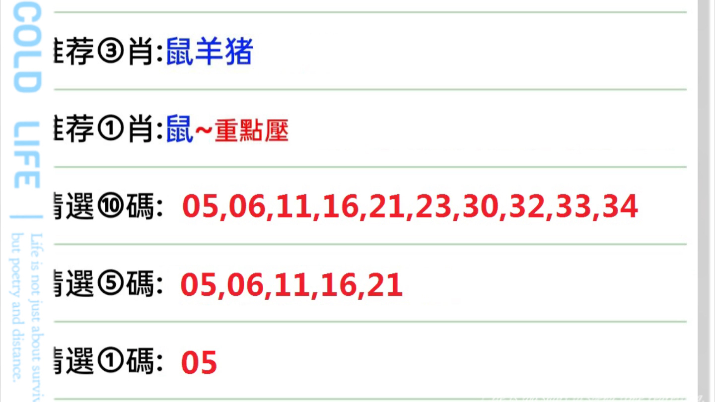 探索新澳门彩今日开奖，揭秘幸运之门新澳门彩今天开什么查询野兽