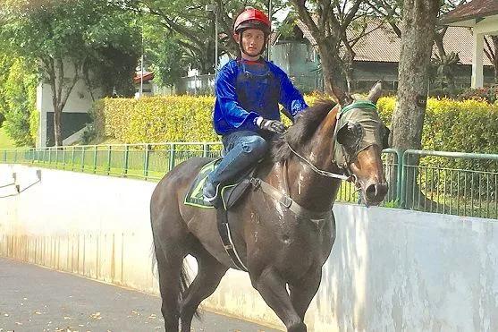 香港马会全年资料大全，历史、运营与影响深度剖析香港2021年马会资料大全