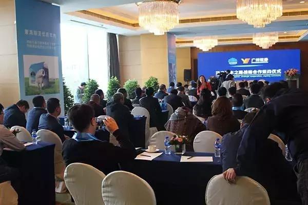 现场直击，六开彩的开奖奇迹与透明度六开彩开奖现场直播视频 开奖结果开