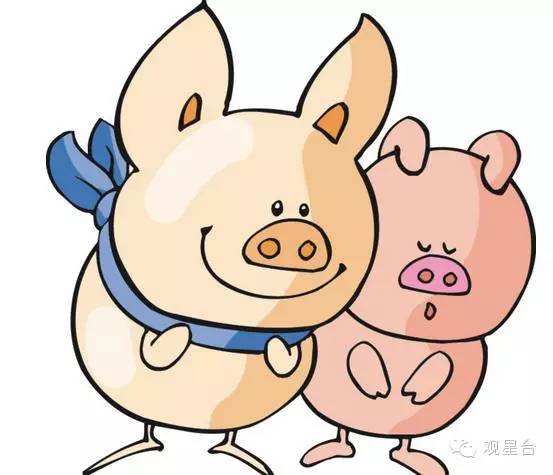 2018年香港开奖结果，回顾与反思2018香港记录开奖结果