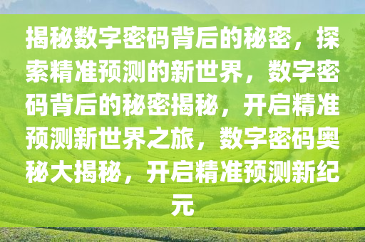 数字解码