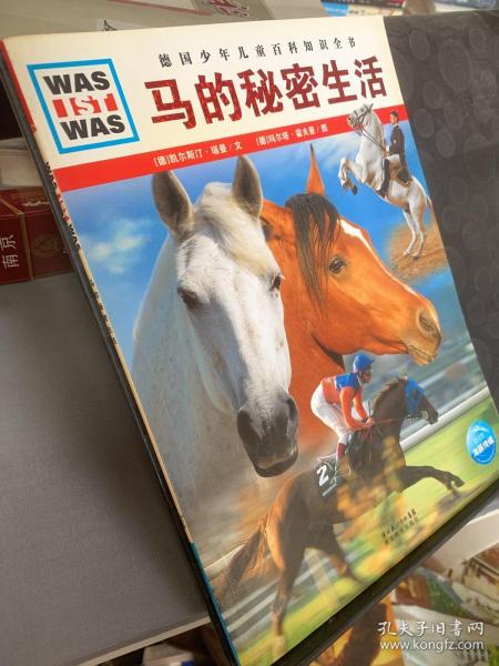 今日特马，揭秘幸运的奥秘与背后的故事今日特马开特是什么生肖