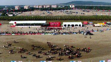 2019马会正版资料，探索与展望2020年马会正版资全集