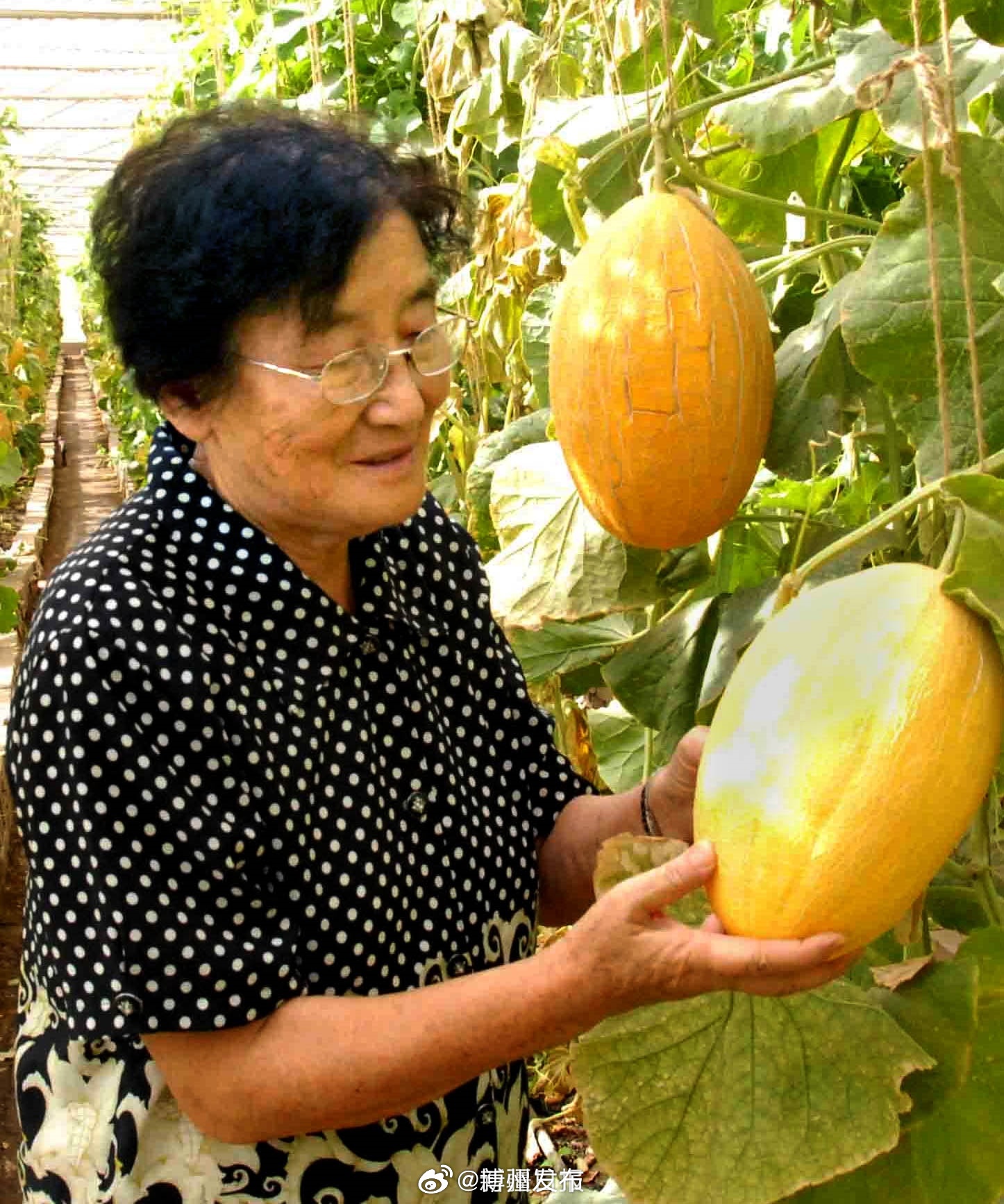 产品中心 第138页