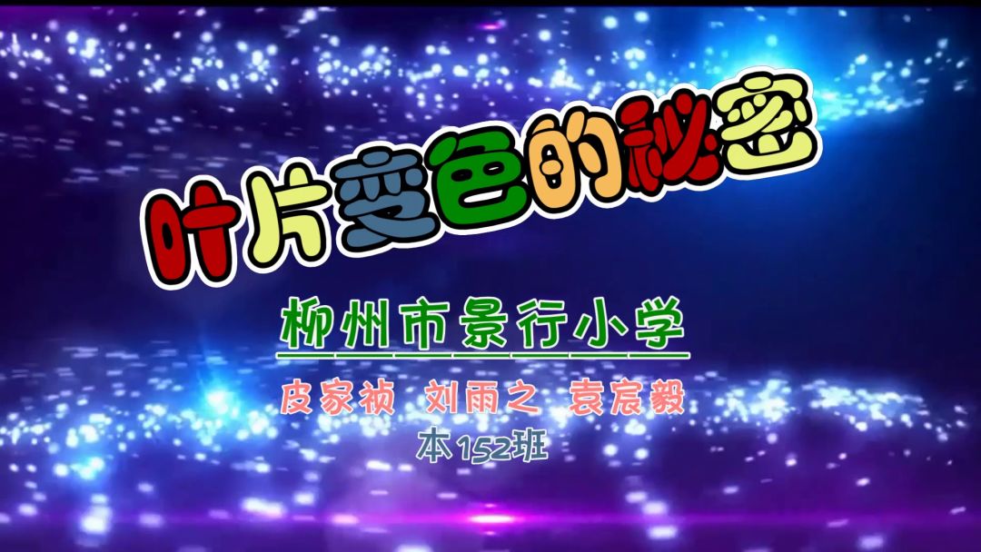 澳门新貌，探索最新最快的资讯与动态澳门最精准免费资料大全旅游景点