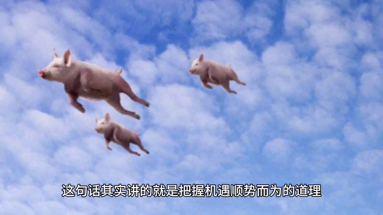 2043年澳门天天开好彩大全，揭秘数字背后的幸运法则2024年澳门天天开好彩大全最新版本下载