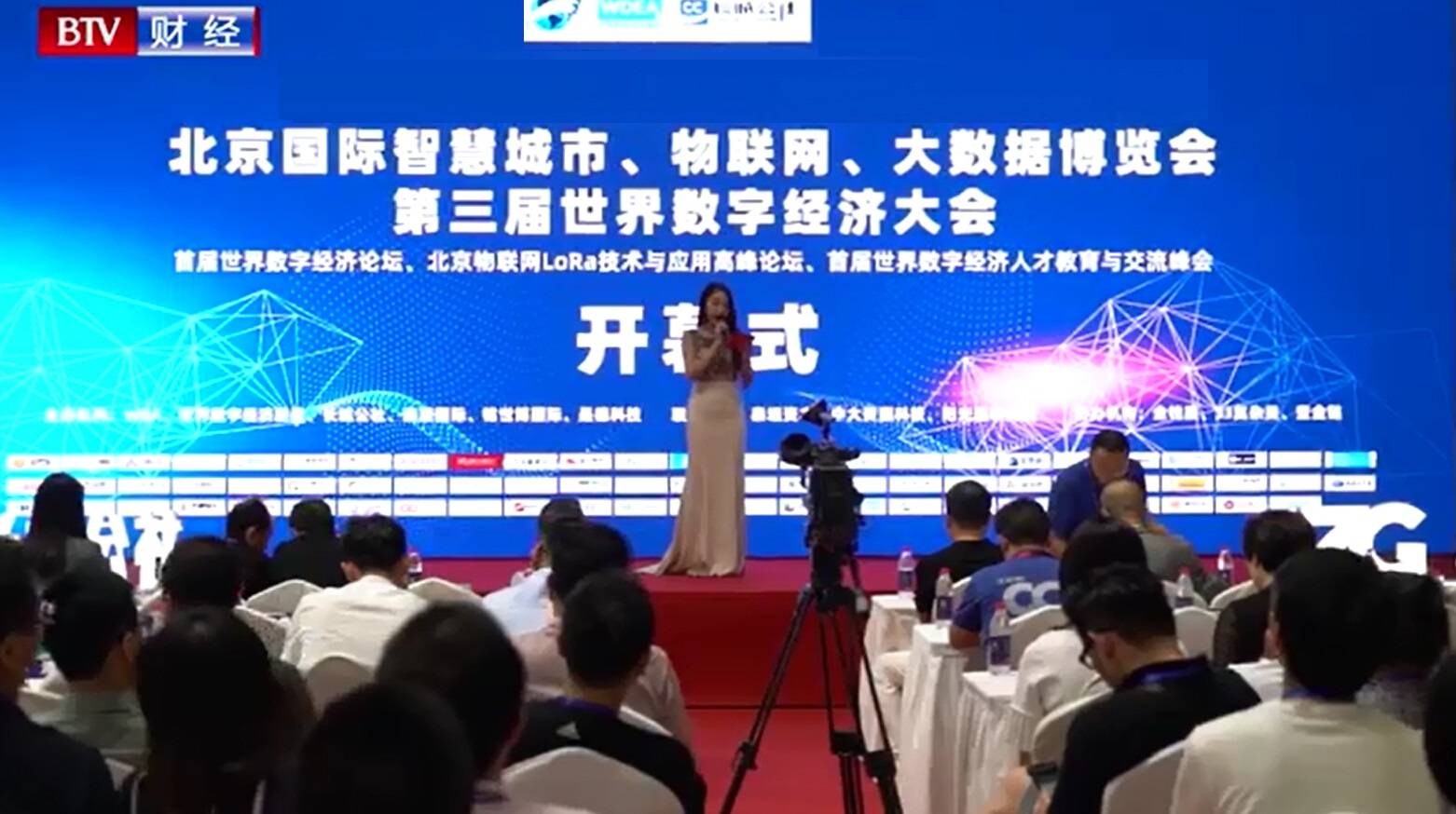 曾夫人论坛，女性智慧与力量的汇聚之地曾夫人论坛ww7822数理分析app