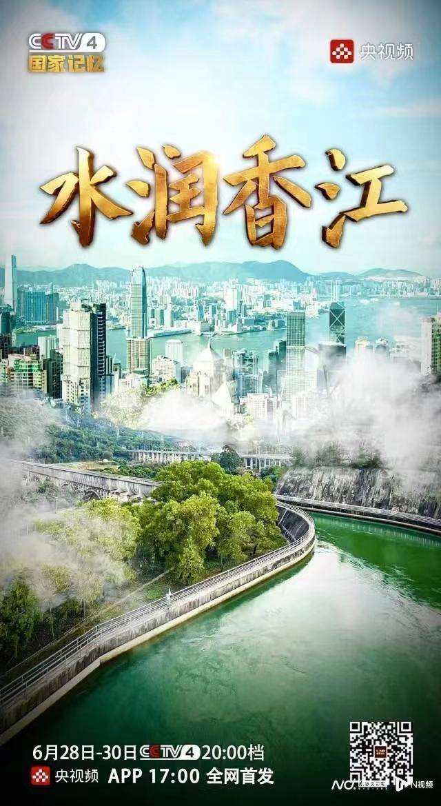 今期香港开奖结果查询，揭秘彩票背后的故事与影响今期香港开奖结果查询24期心水特诗