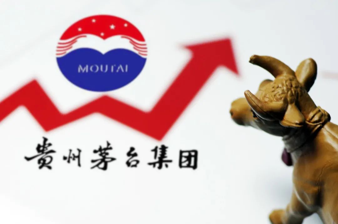 2038年香港今晚特马揭秘，数字背后的奥秘与期待2023香港今晚特马开什么号码