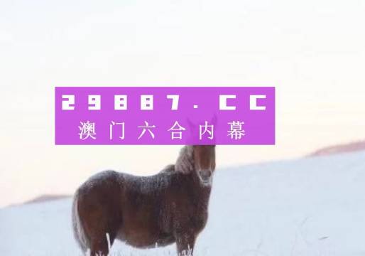 揭秘新澳2046，今晚开奖的背后与理性投注指南新澳2024今晚开奖资料四不像