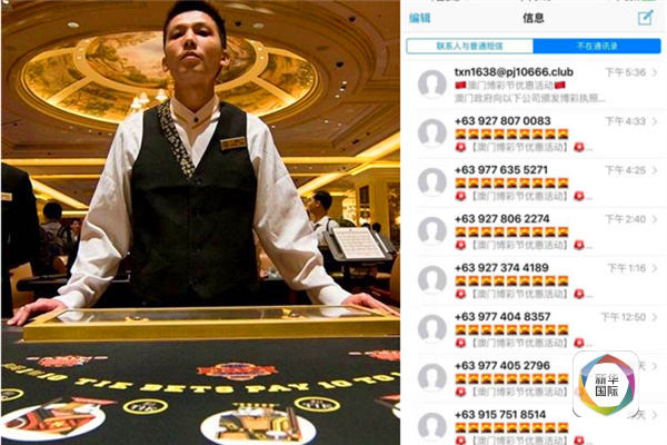 澳门今一必中，揭秘肖与彩票的神秘关系澳门今一必中一肖一码一肖?