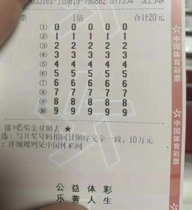 揭秘最准一肖，理性与智慧的结合最准一肖一码一一孑中特确实开那一个号码能中一等奖