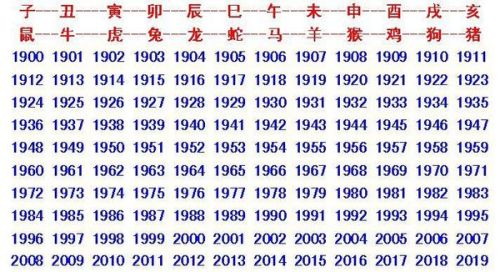 二肖与两码的奥秘—长期免费公开揭秘二肖二码长期免费公开马料