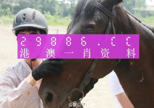 2025年3月 第40页