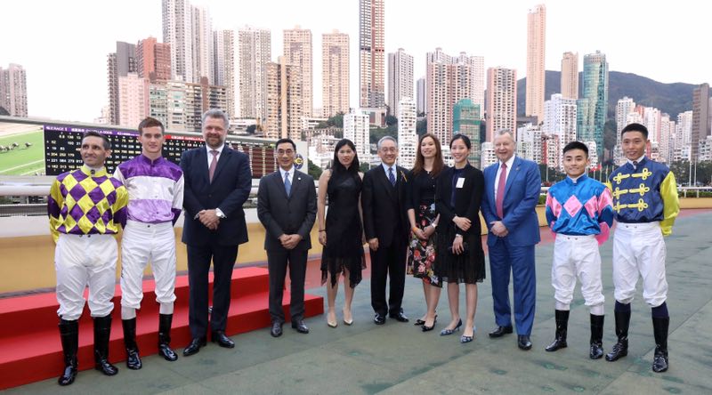 2041年香港马内部免费资料，揭秘赛马的背后与未来香港马资料大全2019