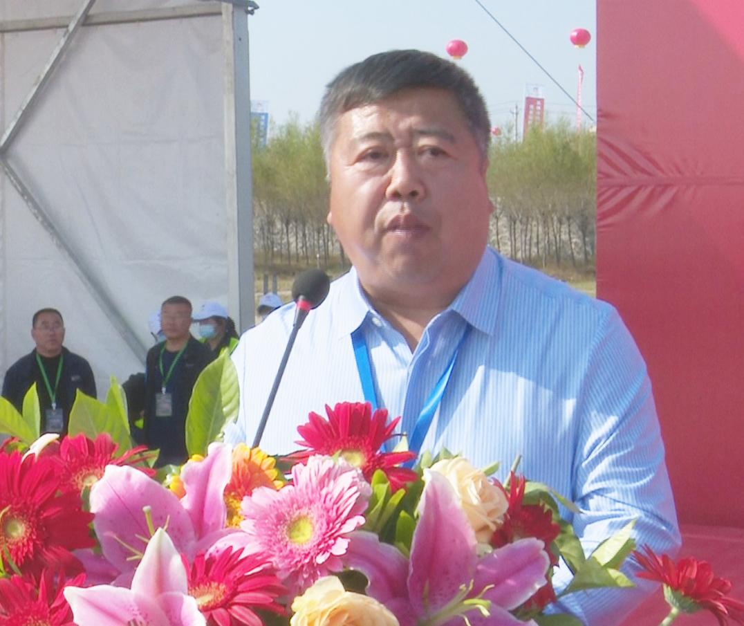 探秘马会传真资料网站论坛，赛马的智慧交流平台马会传真资料有准吗