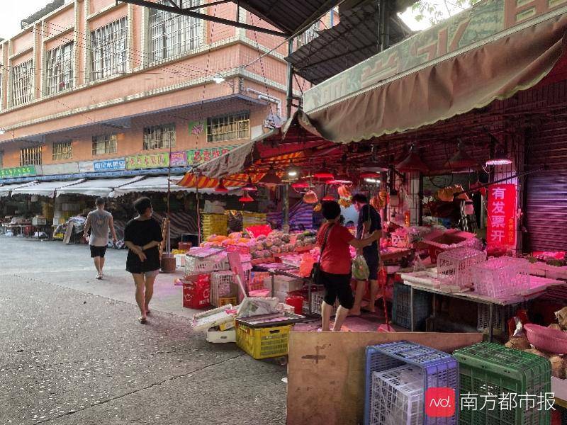 澳门今晚精准一码，揭秘背后的概率与策略分析澳门今晚精准一码开奖结果