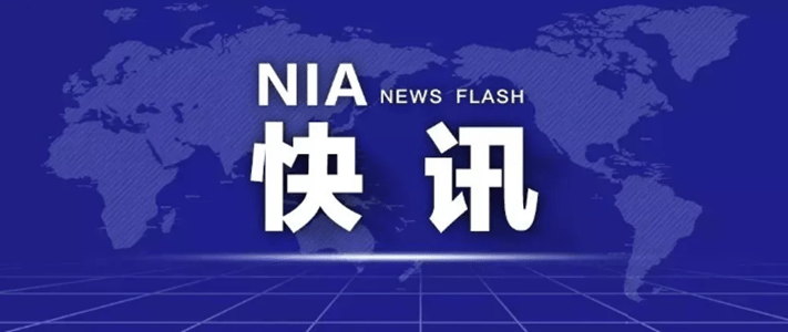 免费下载204年新澳资料大全，正版资料的权威指南澳门新彩