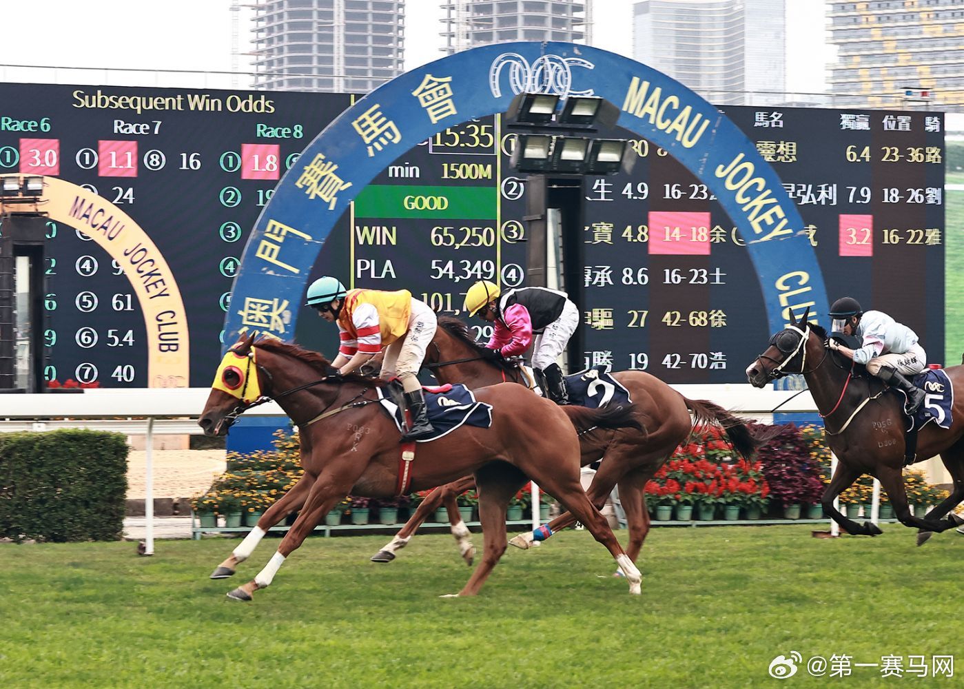 2031年香港赛马内部免费资料，揭秘与解读香港内部马料免费资料下载