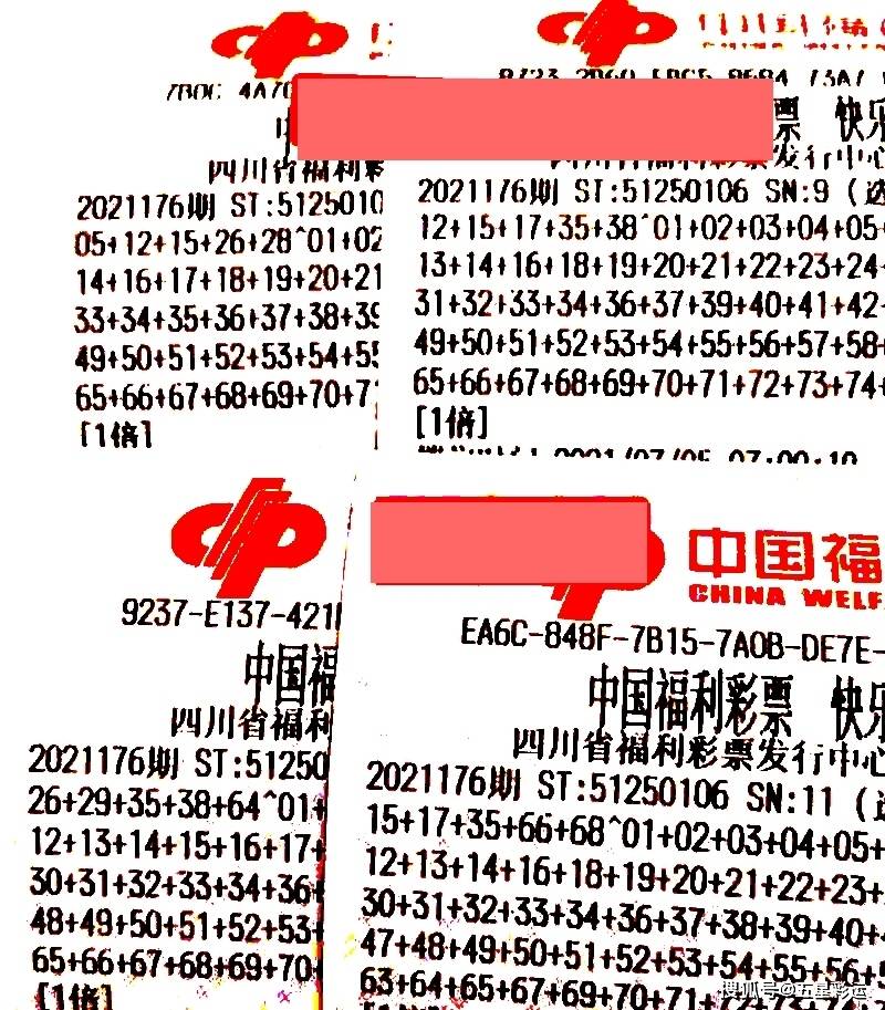 2043年澳门今晚特马揭秘，理性购彩与幸运的碰撞2024澳门今晚开特马开什么号