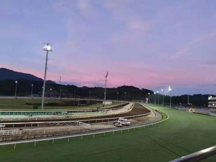 探索香港马会全年资料大全，历史、赛事与慈善的辉煌篇章香港2021年马会资料大全