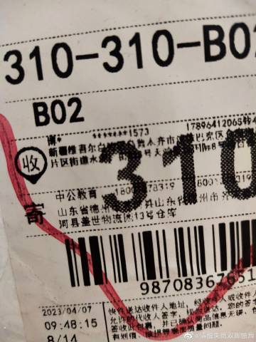 一肖（生肖）与一号码的神秘联系—探索持在生活中的应用一肖一码中持一一肖一码2o25