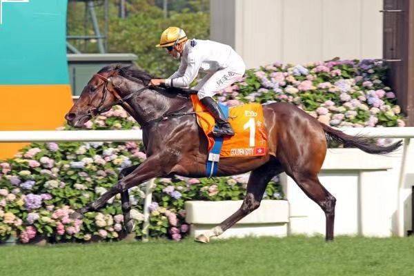 探索香港全年资料马会大全，赛马的魅力与文化深度香港2021马会全年免费资料
