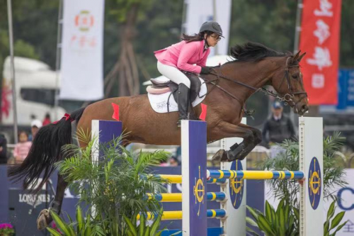 2019年香港马内部免费资料，揭秘赛马的背后与策略香港内部马料免费资料下载