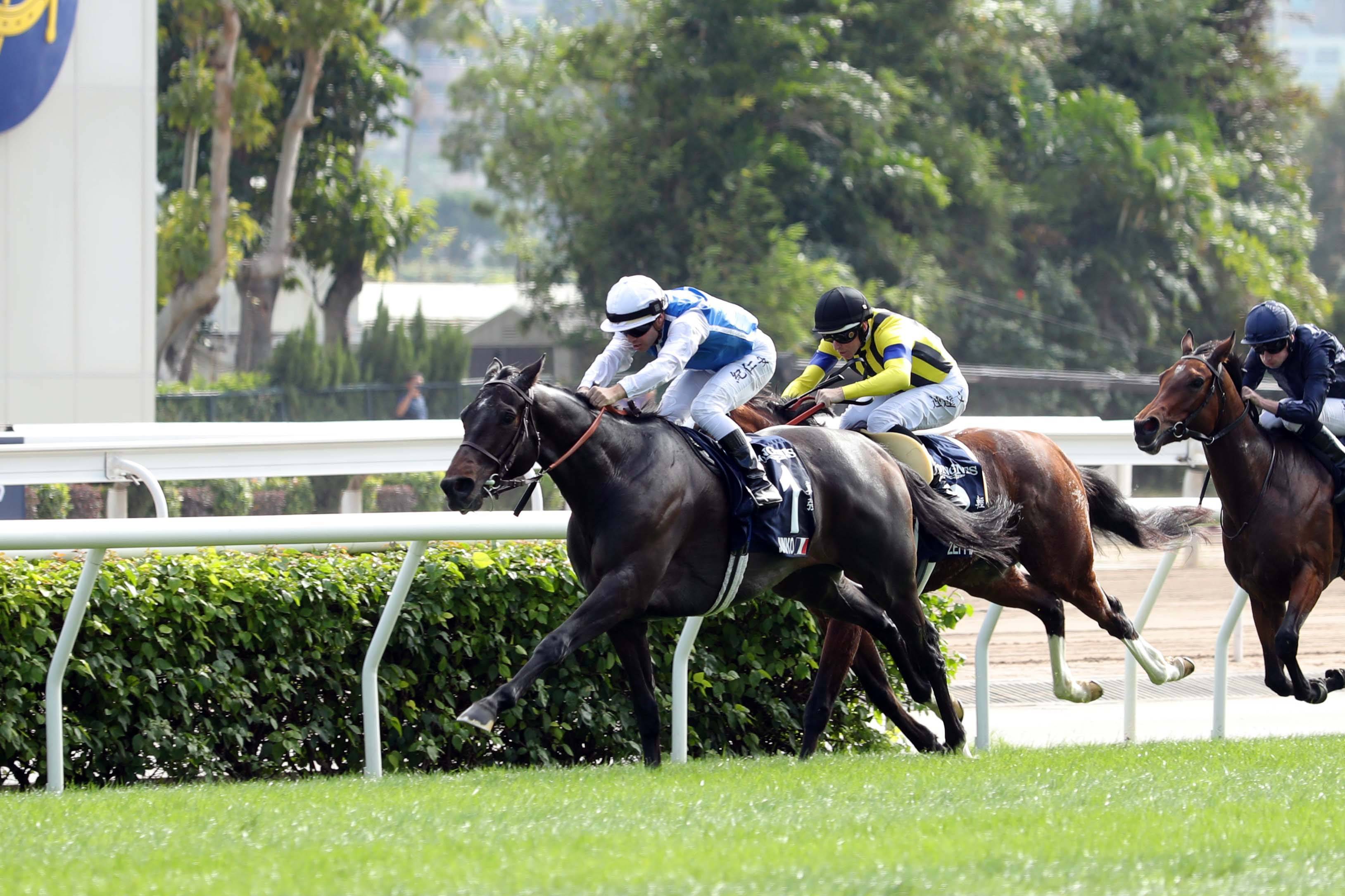 探索香港全年资料马会大全，赛马的激情与文化的交融香港2021年马会资料大全
