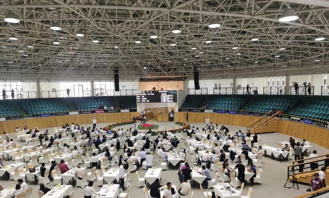 探索香港全年资料马会大全，赛马的激情与文化的交融香港2021年马会资料大全