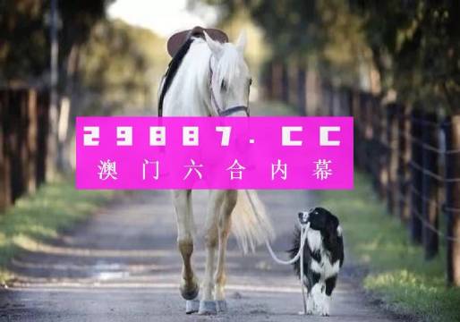 探索49码资料图库，解锁数字时代的编码奥秘49码资料图库网