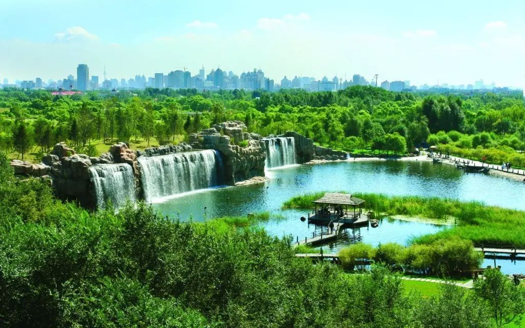 204澳门正版精准资料，揭秘未来赌场趋势与安全指南2025年正版资料免费大全