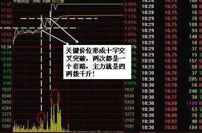 揭秘四肖期中准，精准预测的奥秘与挑战四肖期期中准免费