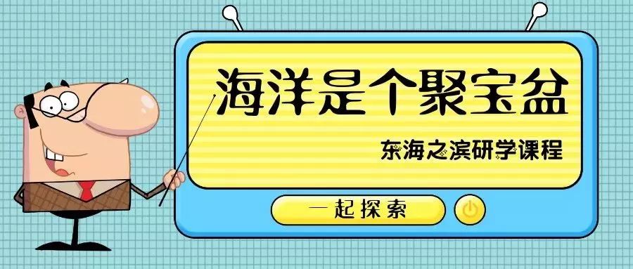 探索知识海洋
