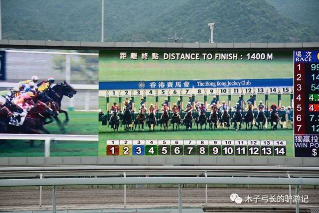 探索香港正版马会精选资料大全，揭秘赛马的智慧与魅力香港正版马会精选资料大全9