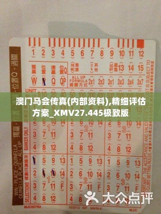 正版马会传真资料—保障公平竞技，助力智慧投注正版马会传真资料+内部