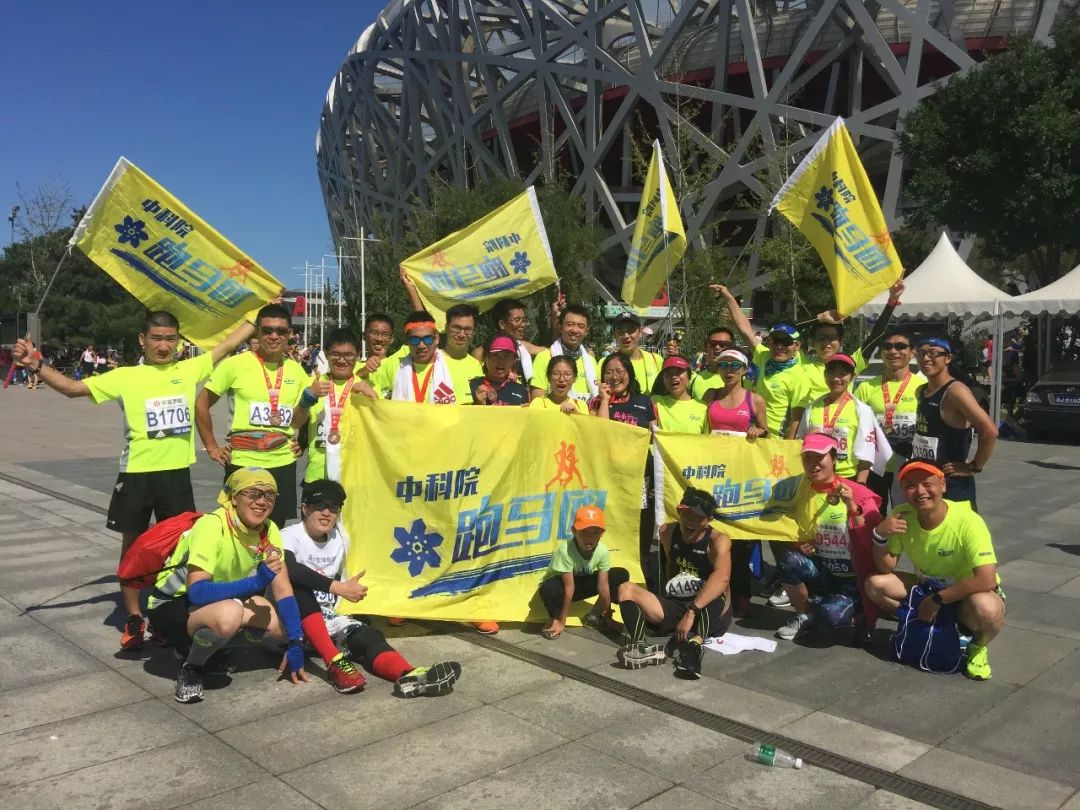 2019年香港马内部免费资料，揭秘赛场背后的秘密与真相香港马资料大全2019