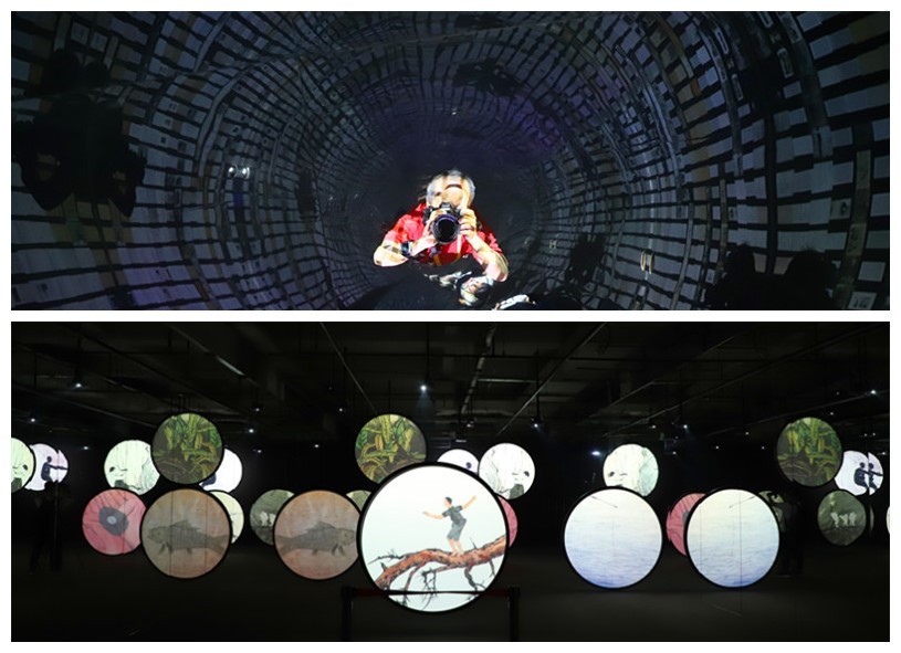 探索3D红五图库，沉浸式体验与数字娱乐新纪元3d红五图库总汇