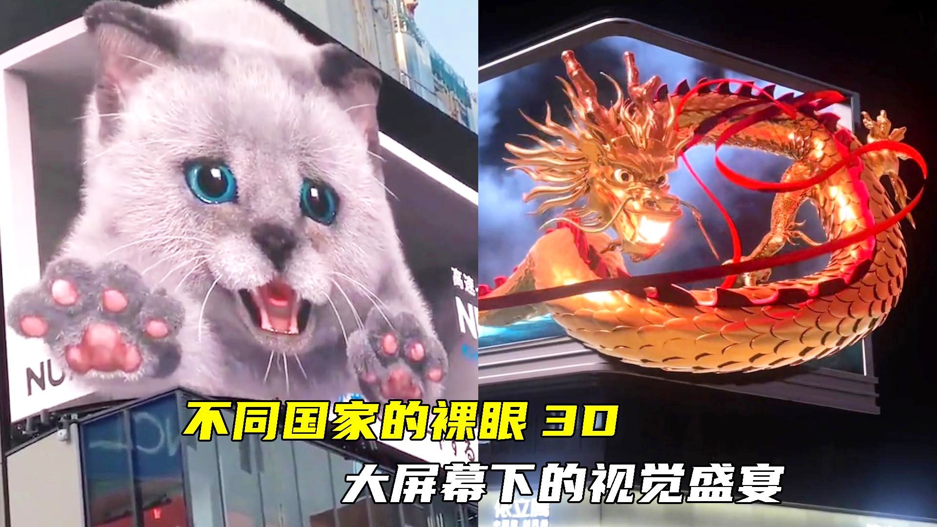 探索3D视觉盛宴，天牛图库最新版—解锁创意与技术的无限可能天牛3d图库大全3d图库最新版本辽宁真人胆
