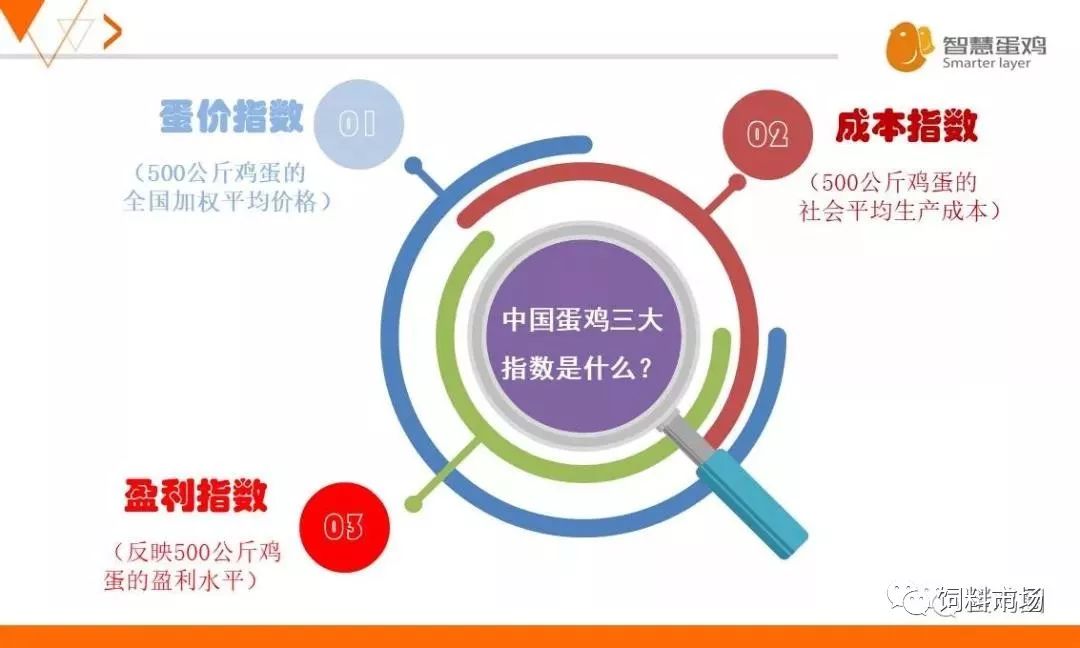 澳门开奖记录最近，透视彩票市场的风云变幻澳门开奖记录最近开奖结果查询表下载