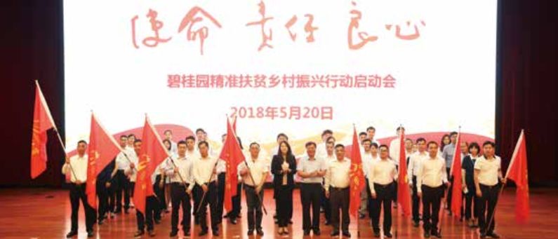 探索新奥门特，免费资料大全与火凤凰的奇妙融合奥门精准资料大全127奥门精准免费资料大全2021