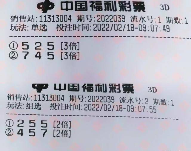 今期新澳门开奖结果记录，透视彩票背后的社会现象与个人心理今期新澳门开奖结果记录表查询